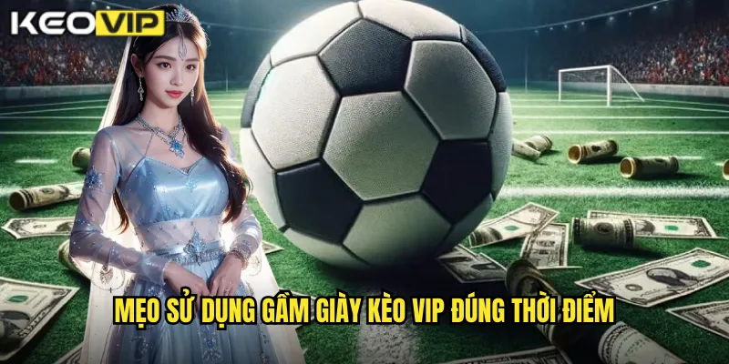 Mẹo Sử Dụng Gầm Giày Chuyên Nghiệp - Bí Kíp Từ Kèo Vip 2 Mẹo Sử Dụng Gầm Giày Kèo Vip Đúng Thời Điểm