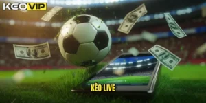 kèo live