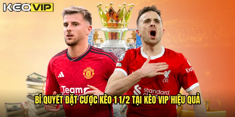 Kèo 1 1/2 Kèo Vip - Kèo Chấp Một Rưỡi Trái Hấp Dẫn 2 Bí quyết đặt cược kèo 1 1/2 tại Kèo vip hiệu quả